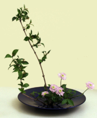 Ikebana-International Vienna beim Sommerfest der ÖJG in Baden 2015
