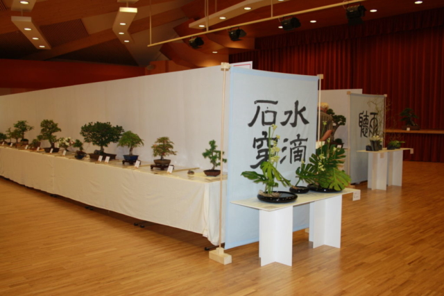Bonsaiausstellung