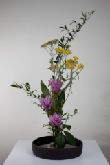 Ikebana-International Vienna - Frühling im Museum für Völkerkunde 2009