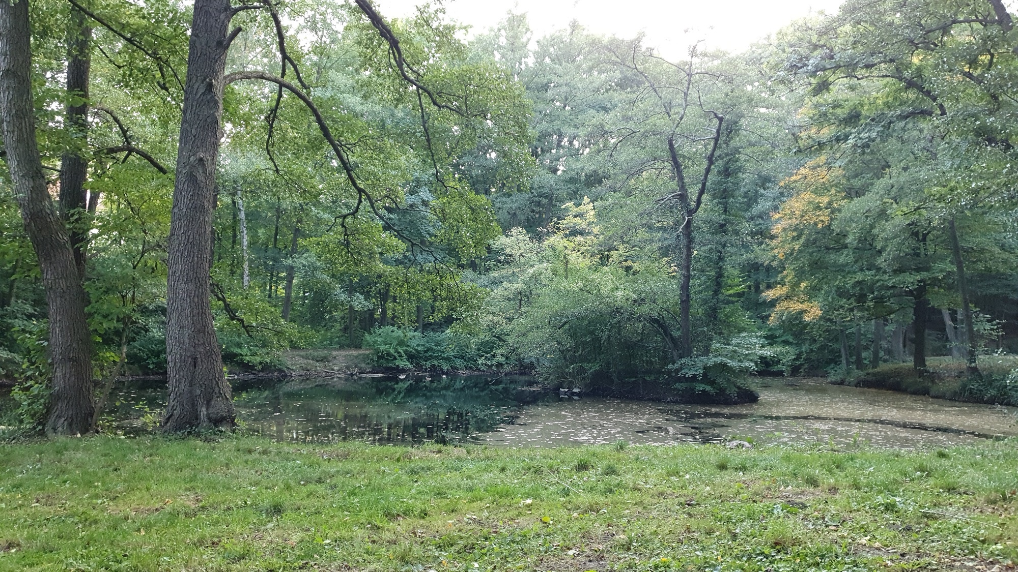 Landschaftsgarten Schwarzenbergpark