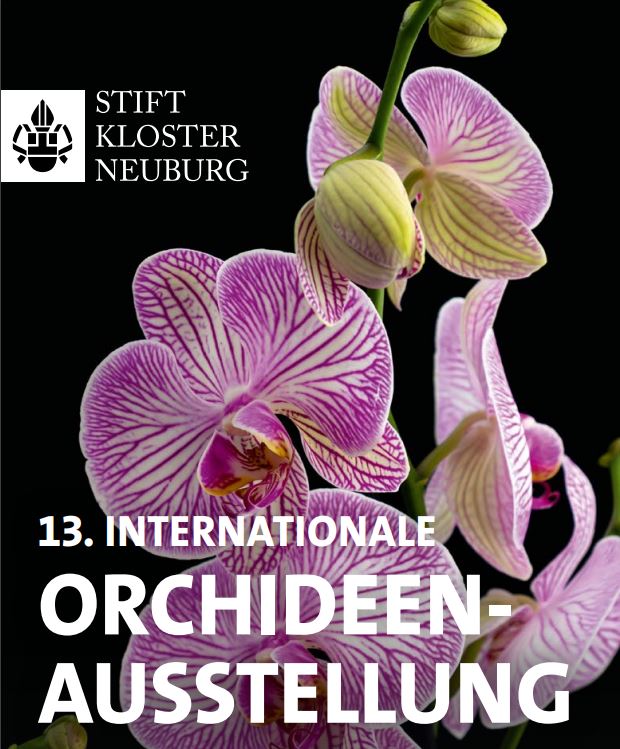 Orchideen – Ausstellung